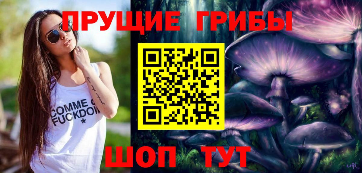 Псилоцибиновые грибы мицелий Апатиты