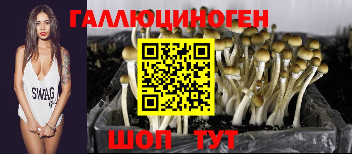 Галлюциногенные грибы Psilocybine cubensis  Вход с VPN  купить наркотик  Апатиты  Галлюциногенные грибы ЛСД 